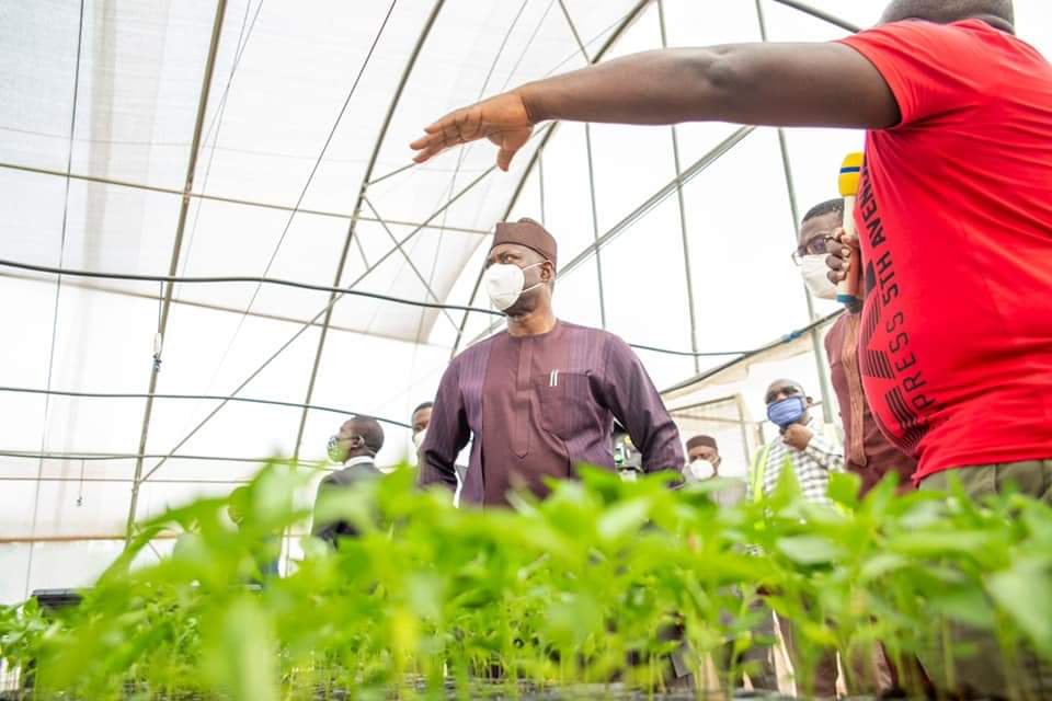 ECONOMY: Oyo Govt Seeks Partnership With Private Sector To Expand State Economy, Set To Upgrade Akufo Farm To Agricultural Estate
