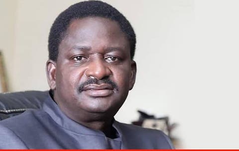 You’ll See Buhari’s Achievements If You Calm Down, Adesina Tells Nigerians