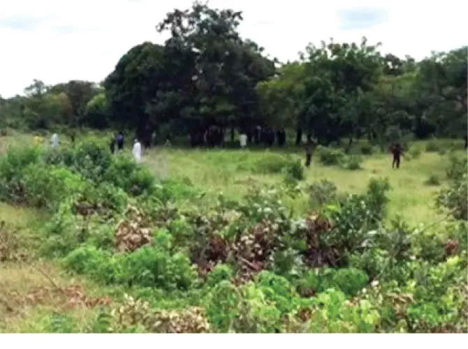 We’ll Conduct Census In Sambisa Forest – NPC Dares Bokoharam