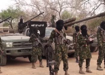 Politicians, Soldiers Among Boko Haram Informants — Nigeria Governor